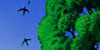 Archive Images - Transworldbooks - David Juniper
