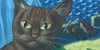 Archive Images - Sea Cat - David Juniper